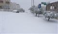  
تراكم الثلوج بسبب العاصفة "جنى" شمال غرب العاصمة الأردنية عمّان (الجزيرة)
