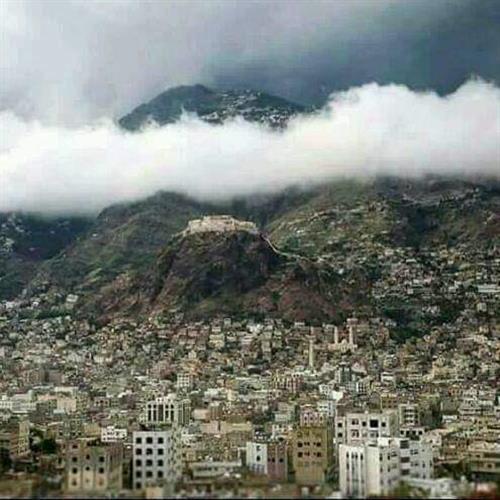 خطة عسكرية متكاملة لتحرير تز اليمنية.. تفاصيل