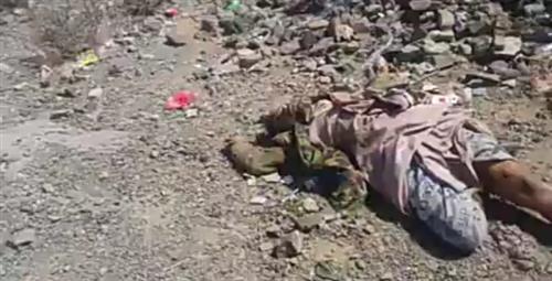 مقتل وجرح 20مسلحا حوثيا واسر 30اخرين في مواجهات مع الجيش الوطني في جبهة بيت الشرجي شمال الضالع