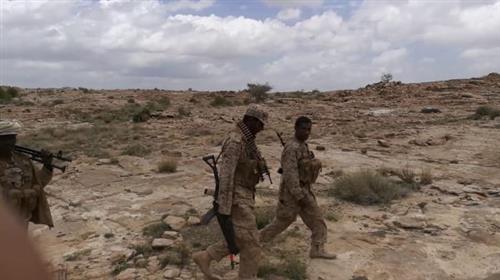  الجيش يصد هجوما حوثيا على مواقعة بمديرية التحيتا بالحديدة
