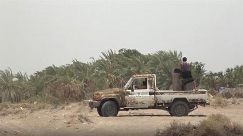    الجيش الوطني يفشل أكبر هجوم لمليشيا الحوثي شمال البيضاء
