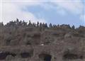  جنود من اللواء 310مدرع يعتلون جبل ضين في عمران